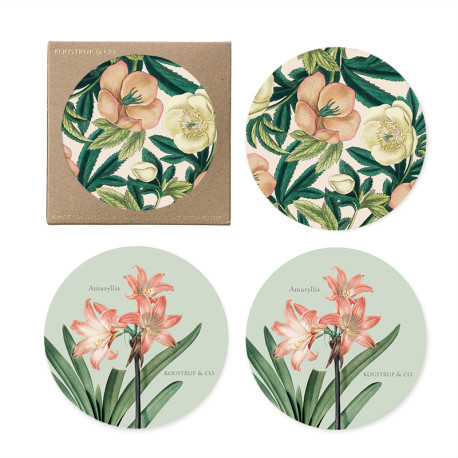 Coasters Helleborus / Amaryllis