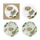 2-sided Durable Coasters - Flora Danica Atlas